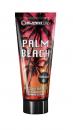 Palm Beach Accelerator - 200ml